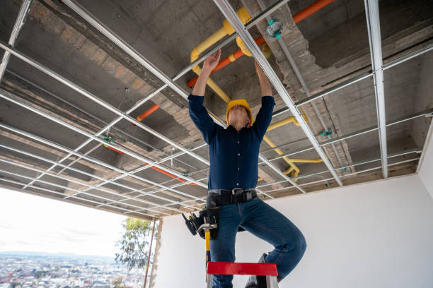 Best Plumbing Services Near Me  in Lake Mary, FL
